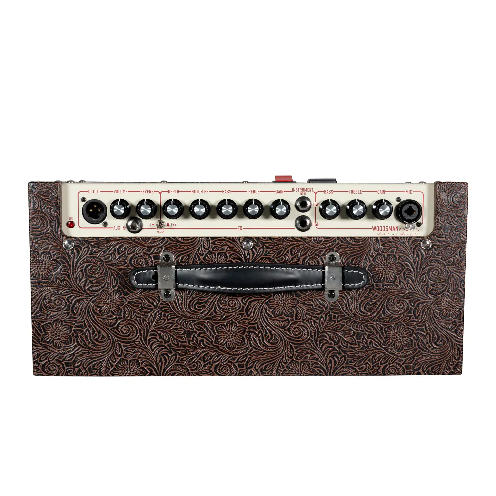 AMPLIFICADOR GUITARRA ACUSTICA ASHDOWN WOODSMAN CLASSIC, 40 WATT, 1 X 8" - Image 4
