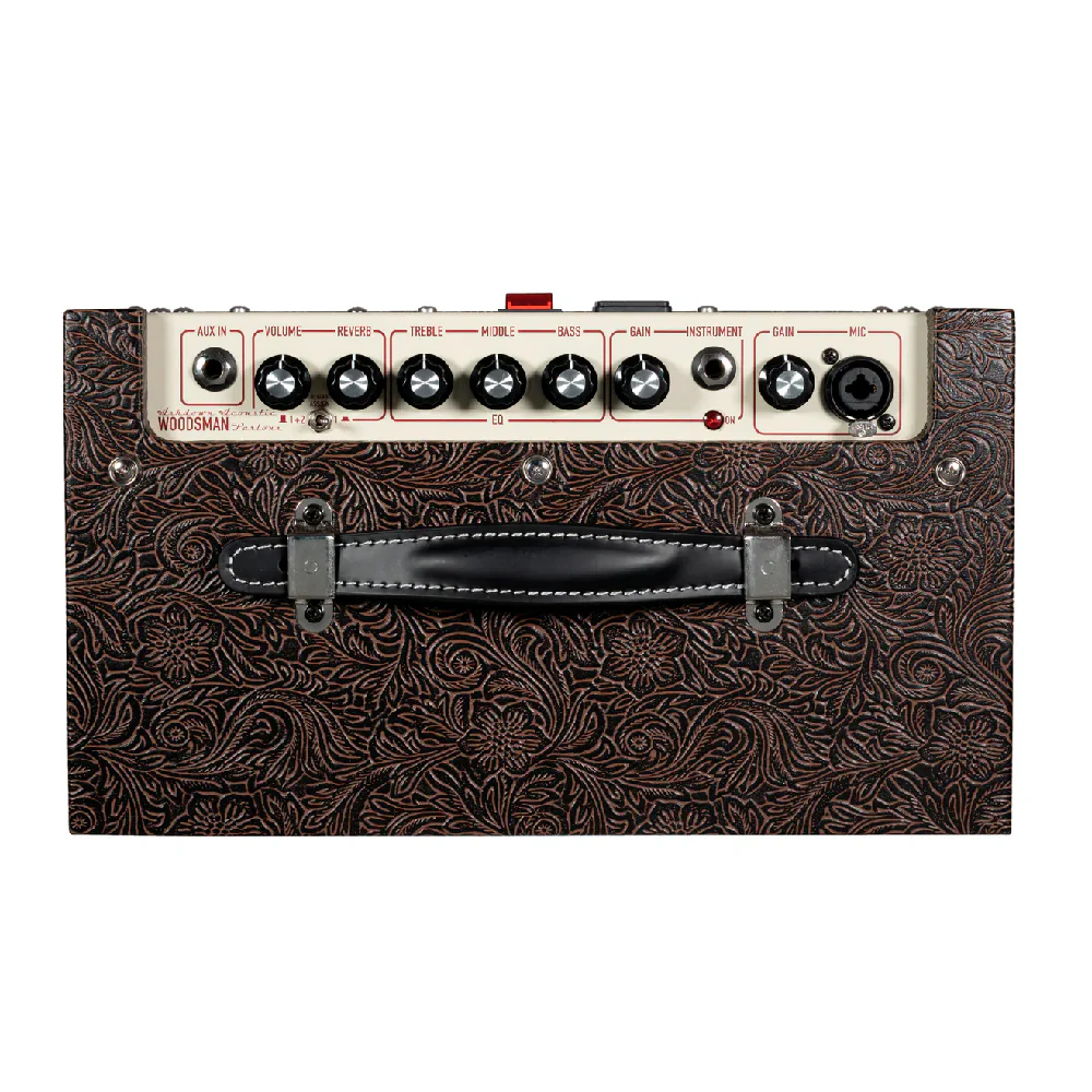 AMPLIFICADOR GUITARRA ACUSTICA ASHDOWN WOODSMAN PARLOUR,  25 WATT, 1 X 8" - Image 4