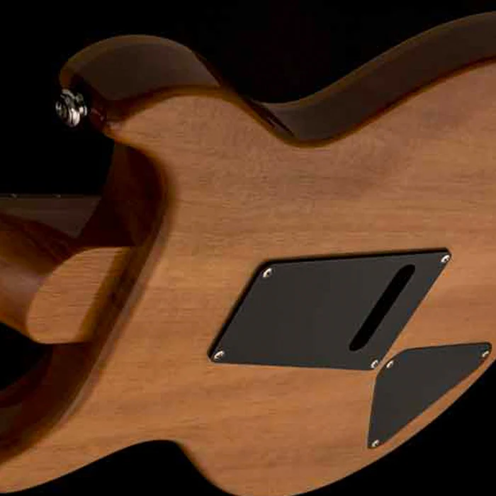 GUITARRA ELECTRICA PRS SE CARLOS SANTANA SASY SANTANA YELLOW - Image 5