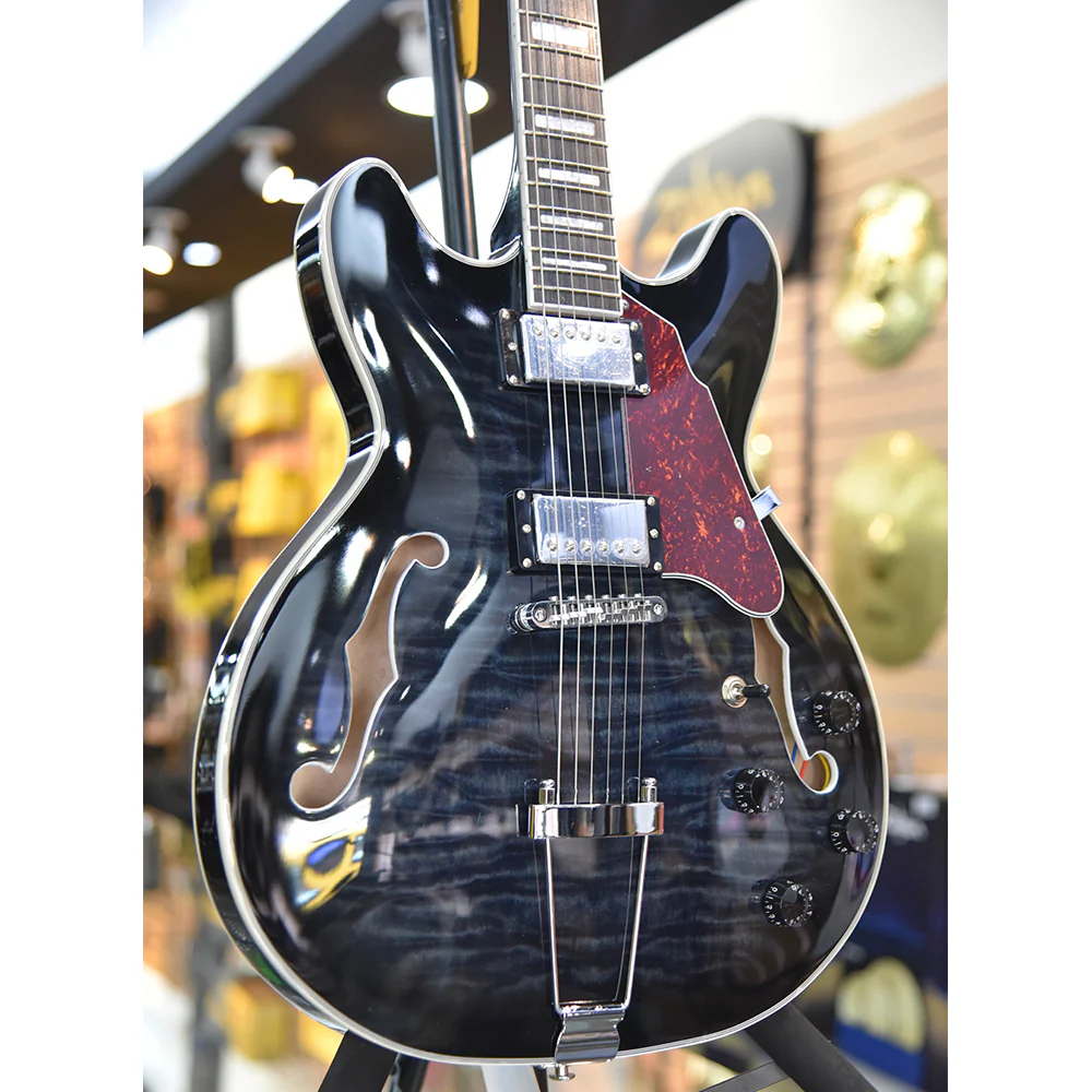 GUITARRA ELECTRICA TEXAS HOLLOWBODY JAZZ, EGJ351, DARK BLUE - Image 5