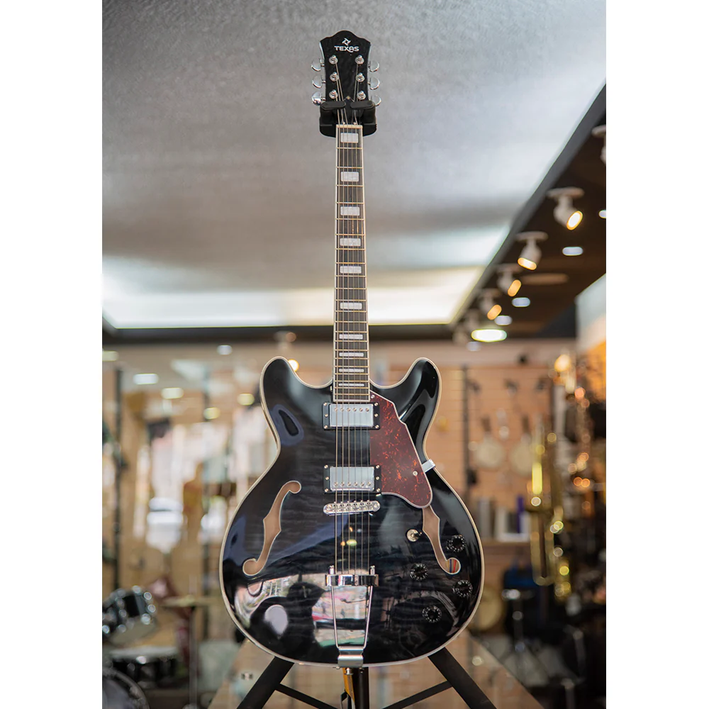 GUITARRA ELECTRICA TEXAS HOLLOWBODY JAZZ, EGJ351, DARK BLUE - Image 6