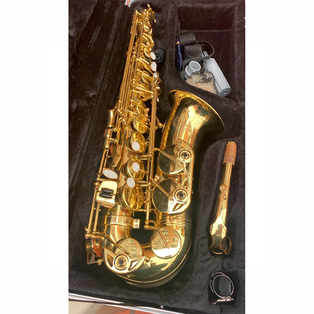 SAXOFON ALTO CON ACCESORIOS (USADO) - Image 5